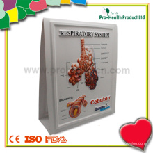 Urinário Tract Plastic Education Medical 3D Poster